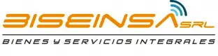 Biseinsa